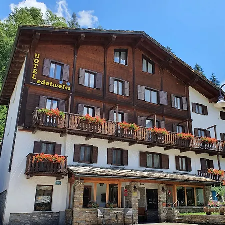 Edelweiss 2*